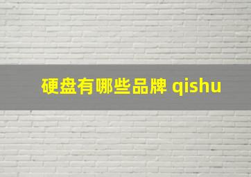 硬盘有哪些品牌 qishu